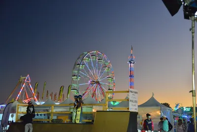 DSC_7746 (Large).JPG